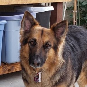 Meet your Posher, Linda